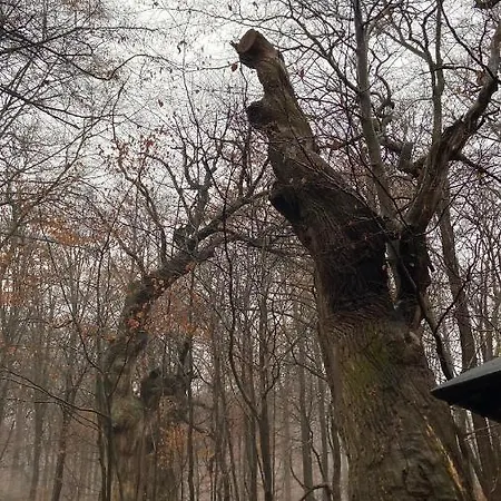 Herkules: Forest-edge With Smart Tvs And Free Parking Kassel